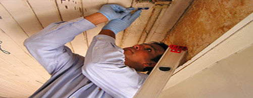 Mold Remediation